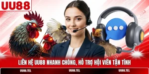 Liên Hệ UU88